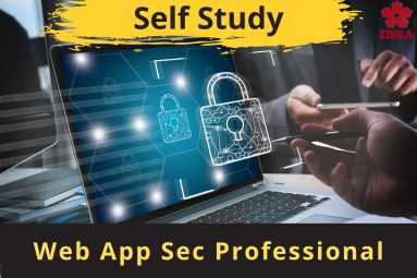 Web App Sec Professional